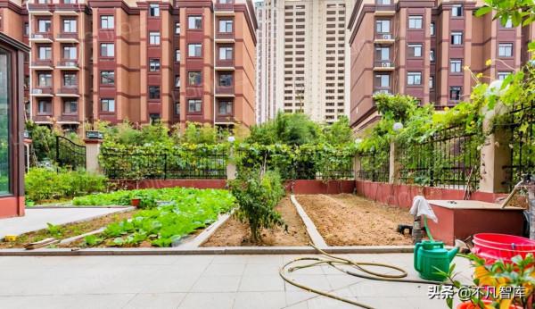 “人窮買頂樓、人傻買一樓”，這樣的說法靠譜嗎？不少人選錯了