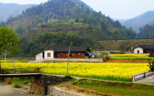 父母走了之後，有的兄弟姐妹就斷交了