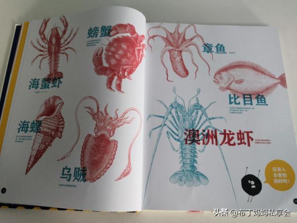 孩子害怕情緒有點多,家長該如何幫忙緩解?“恐懼”繪本解決問題 孩子害怕情緒有點多,家長該如何幫忙緩解?“恐懼”繪本解決問題