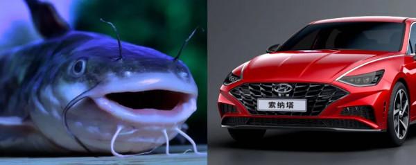 被“鯰魚臉”坑慘了的索納塔10改裝過後明顯帥多了 被“鯰魚臉”坑慘了的索納塔10改裝過後明顯帥多了