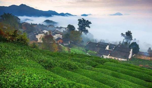 這些“雲端上”的古村落,正過著神仙般的日子,沿途就像走在畫裡 這些“雲端上”的古村落,正過著神仙般的日子,沿途就像走在畫裡