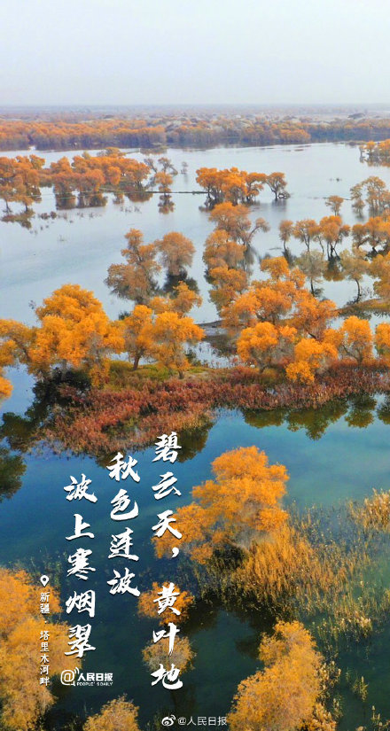 絕美山河秋色！當秋日美景遇上古詩詞