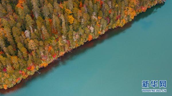 航拍香格里拉普達措 層林盡染五彩斑斕