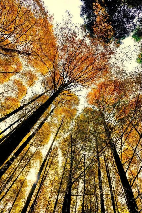 旅遊也要捲起來！！偷偷收藏秋季最美的8個地方....