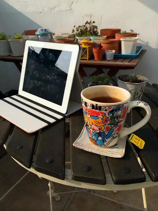 一個姑娘的“露臺花房”改造：一個自己的空中花園