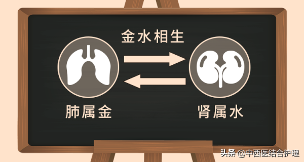 「護腎科普」護腎延衰，重在醫和養，功在補虛和堵漏