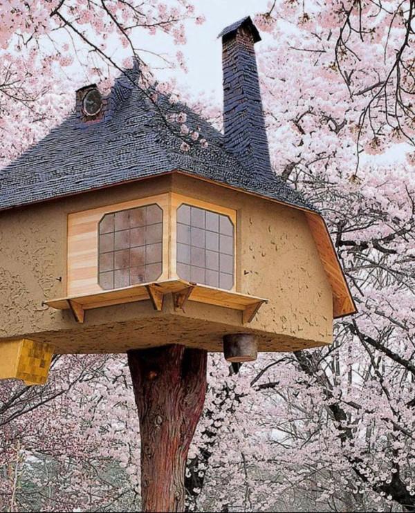 櫻花下的日本茶館