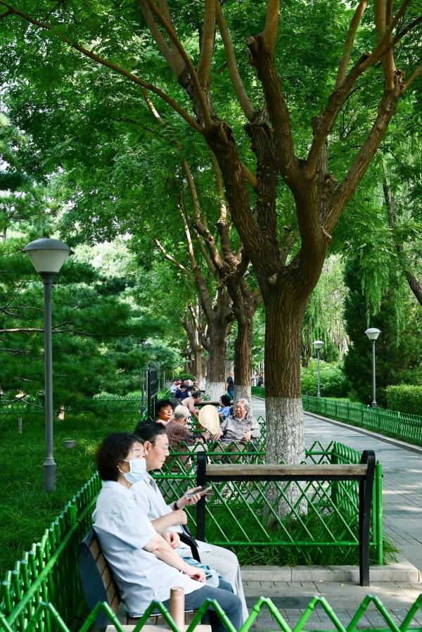 阜城門橋東還有這麼好的小公園，不錯不錯