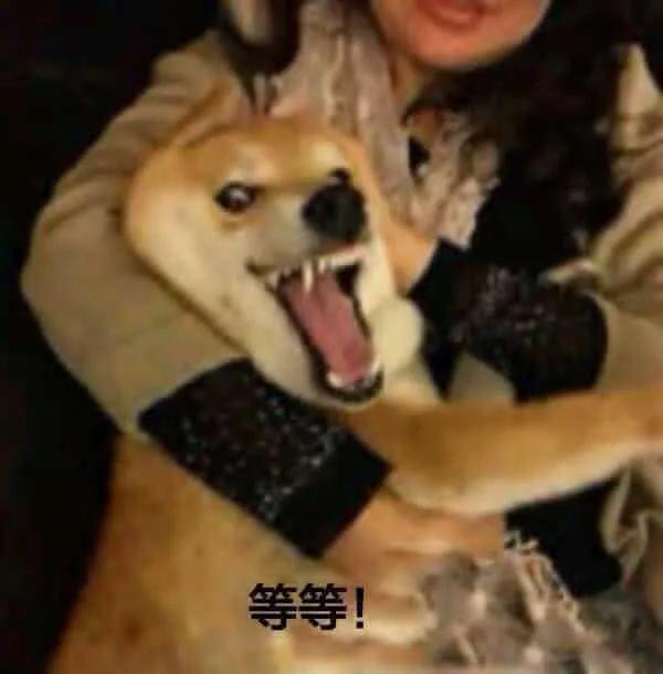 早知道，還得是原道