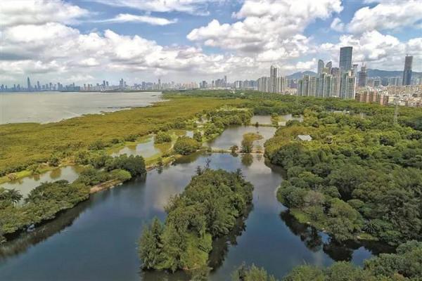 中秋小假期該去哪，來看深圳打卡必玩點