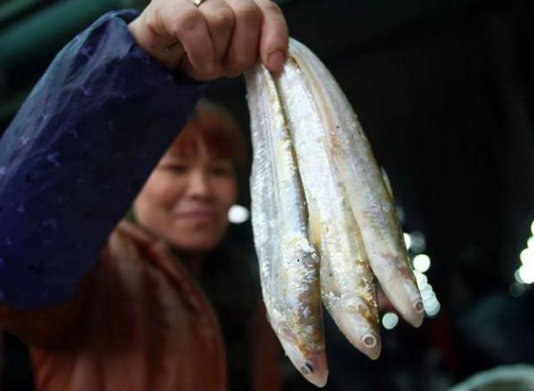 魚塘百萬元&OpenCurlyDoubleQuote;刀魚&rdquo;神秘消失，大哥養了個寂寞，偷吃客驅趕成難題