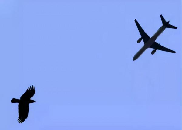 如果用一根直徑0.000001毫米的針穿過大腦,會發生什麼? 如果用一根直徑0.000001毫米的針穿過大腦,會發生什麼?