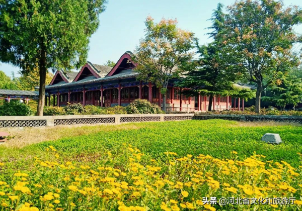 秋染古城，正定的秋天“秀”在哪？