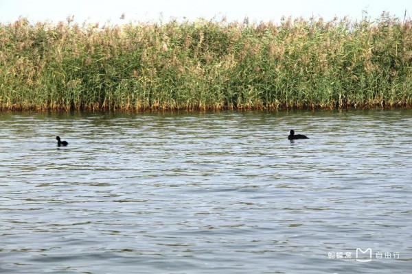 大運河8省 35城市35景(北京、天津、河北、山東篇) 大運河8省 35城市35景(北京、天津、河北、山東篇)