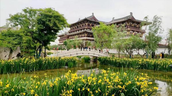 跟隨《登場了!洛陽》,探訪最早的中國,二里頭夏都遺址 跟隨《登場了!洛陽》,探訪最早的中國,二里頭夏都遺址