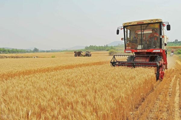 農村四大怪象，“地閒著、房空著、車停著、錢存著”，咋回事？