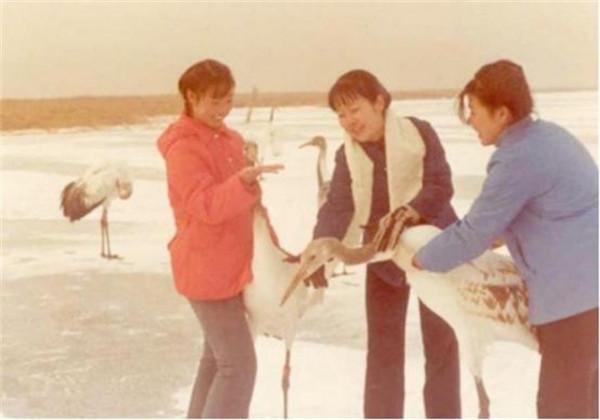 丹頂鶴女孩犧牲27年後，弟弟同樣在保護區殉職，今侄女接過接力棒