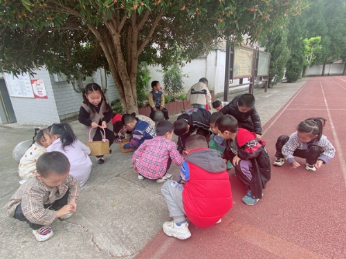 東陽市三單鄉中心幼兒園：拾一路美好