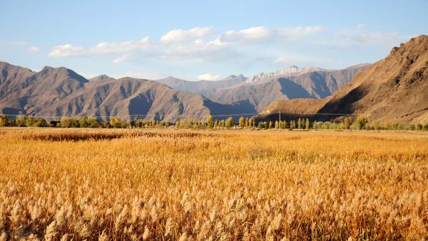 寒冬將至，在心裡重溫深秋的溫暖與美好