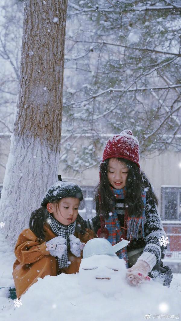 還記得阿拉蕾嗎？長大了