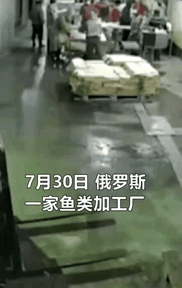 都怕 哈哈哈 都怕 哈哈哈