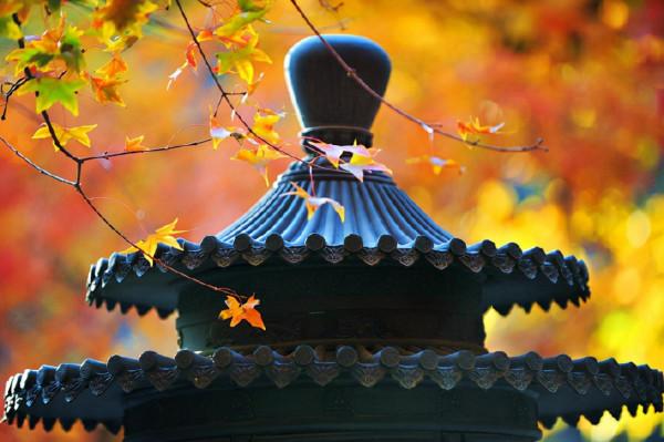 中國賞秋第一聖地：香山。是否名副其實？