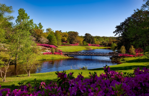 擅長於未雨綢繆,志在必得的星座,不怕孤獨,追求優秀,百毒不侵 擅長於未雨綢繆,志在必得的星座,不怕孤獨,追求優秀,百毒不侵