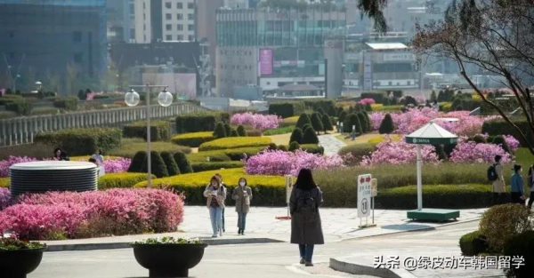 韓國留學 | 就讀於女子大學很奇怪嗎? 韓國留學 | 就讀於女子大學很奇怪嗎?