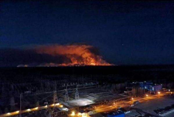 切爾諾貝利發現的真菌，靠“吞輻射”繁殖，有可能成為航天黑科技