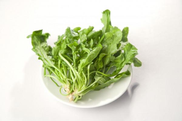 告別眼鏡,保護兒童視力的7種食物 告別眼鏡,保護兒童視力的7種食物