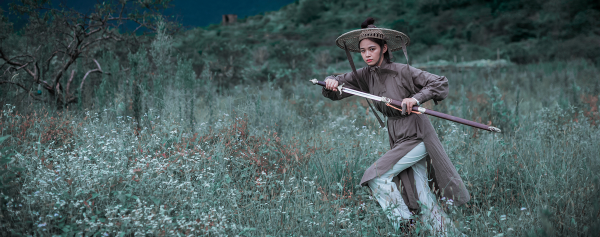 什麼？你覺得馬只是用來趕路嗎？武俠世界裡馬也是很有攻擊性的