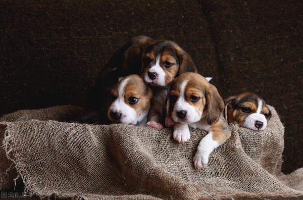 增強運勢的絕佳辦法，屢試不爽