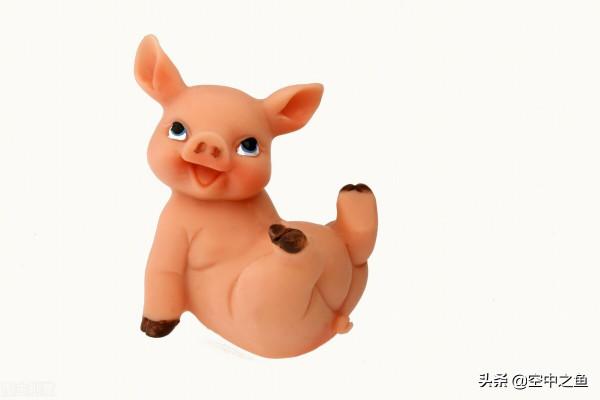 生肖豬2021年運勢 生肖豬2021年運勢