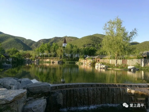 昌平夏末美景專屬地！藍天白雲，水鳥倒映，花田拍照......美不勝收！