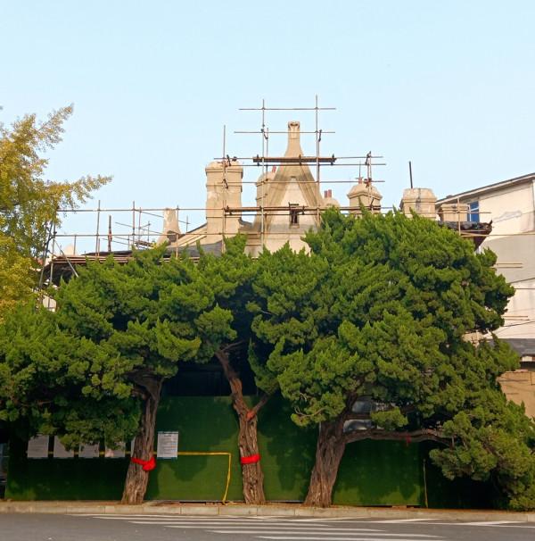 旅順太陽溝這兩座樓房開始維修了