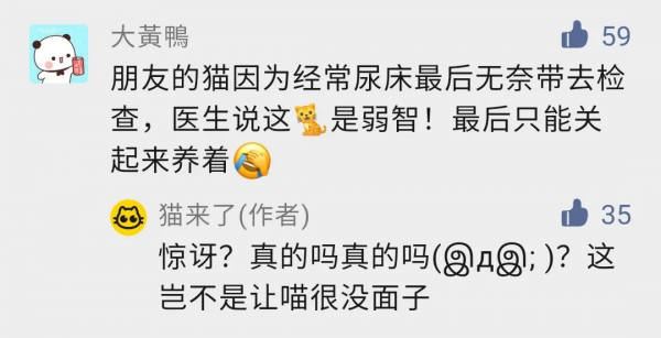 貓總尿床被帶去醫院做檢查,獸醫:這貓是弱智... 貓總尿床被帶去醫院做檢查,獸醫:這貓是弱智...