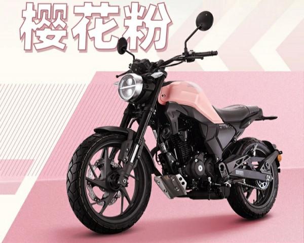 本田系的190車型是越來越多了,到底應該如何選呢? 本田系的190車型是越來越多了,到底應該如何選呢?