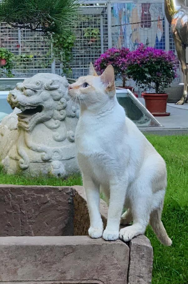 生命不能承受之…重