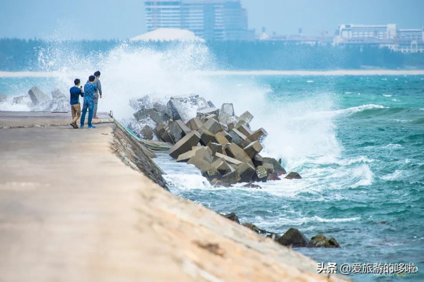 9分神片迴歸!中國人有多會吃海鮮?第一集就讓人邊流口水邊流淚 9分神片迴歸!中國人有多會吃海鮮?第一集就讓人邊流口水邊流淚