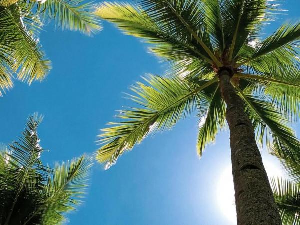 一對親家母高齡懷孕:瘋狂鬥氣凌亂了生命 一對親家母高齡懷孕:瘋狂鬥氣凌亂了生命