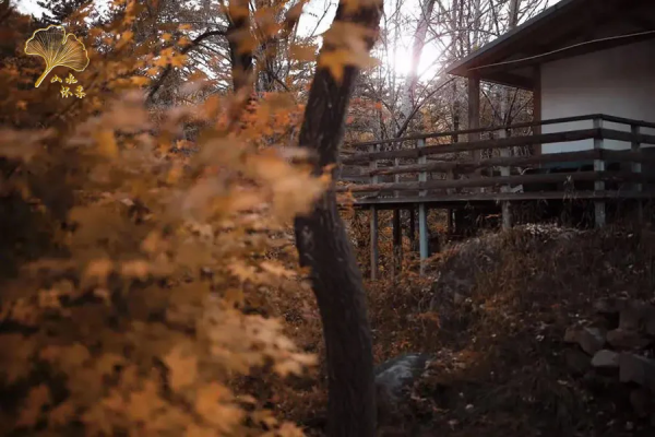 【玩轉懷柔】2021懷柔賞秋攻略出爐！一個字，絕！