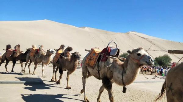 2500公里青甘大環線