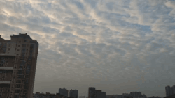 2022年的第一天，我們把長三角41座城市的太陽看了個遍