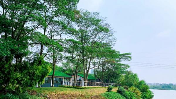 閱讀+兒童遊玩+野餐+300°湖景!丹灶又一網紅書屋試業 閱讀+兒童遊玩+野餐+300°湖景!丹灶又一網紅書屋試業