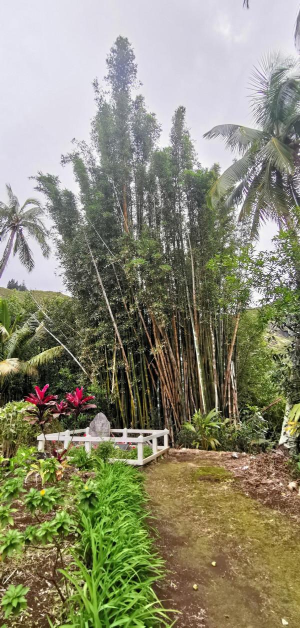 南太平洋皮特凱恩島遊記 南太平洋皮特凱恩島遊記