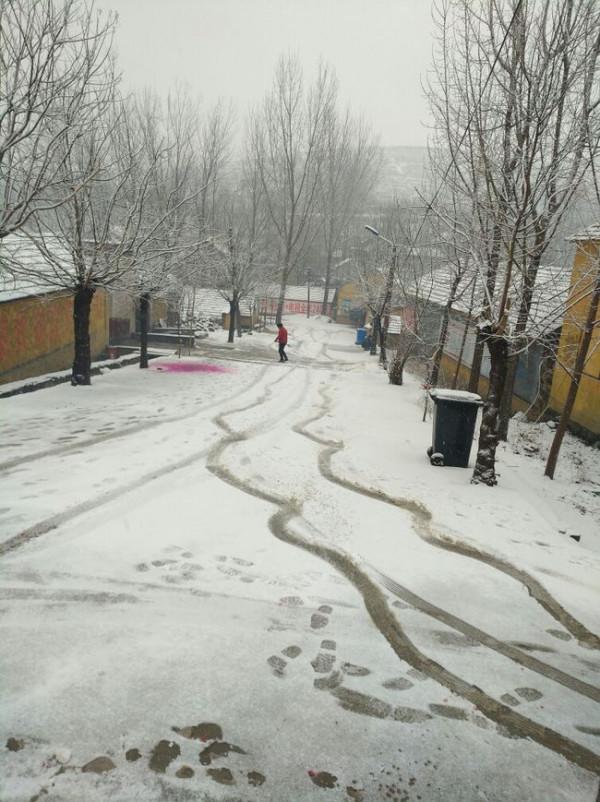 鄉村故事：放鷹