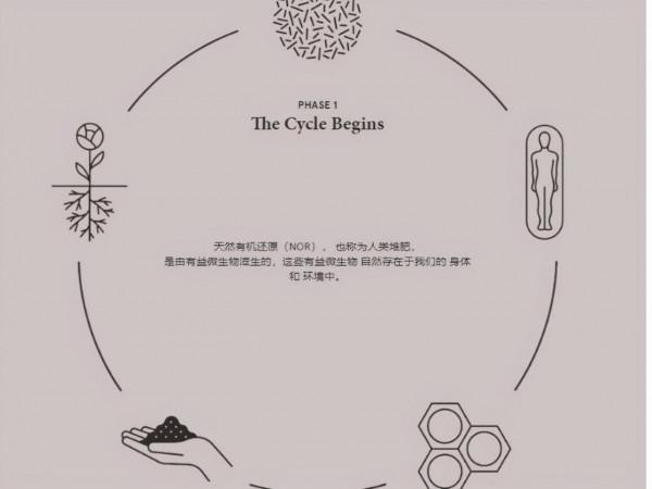 美國人民真奢侈：每天用大量美元做肥料種蔬菜，打造百萬有機農場