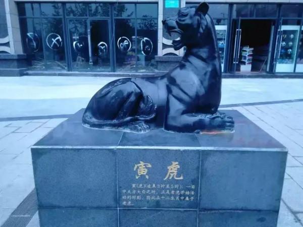 十二生肖一道亮點