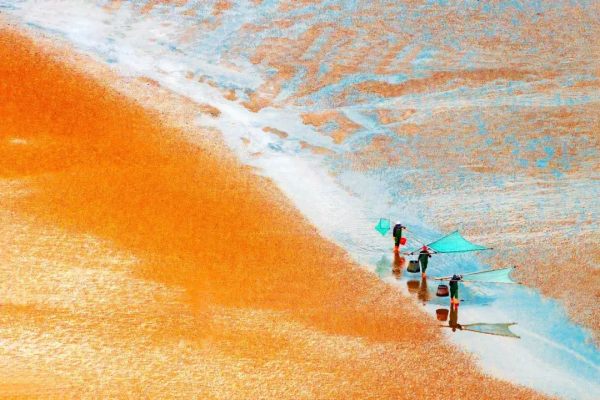 2022年，國內旅行時間表出爐，一鍵解鎖12個月的最佳旅行地