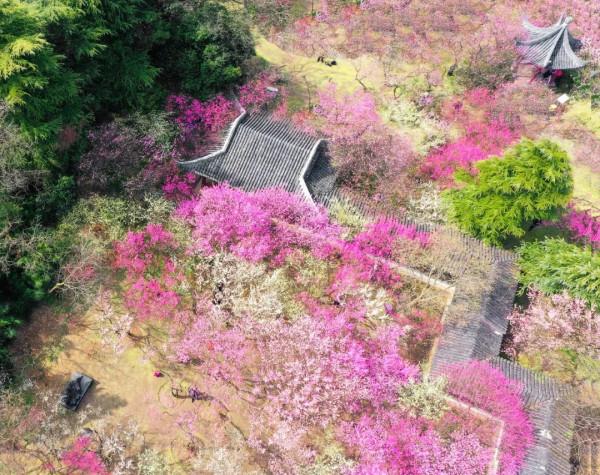 既有悠悠歷史，又有俗世煙火，來南京看看吧